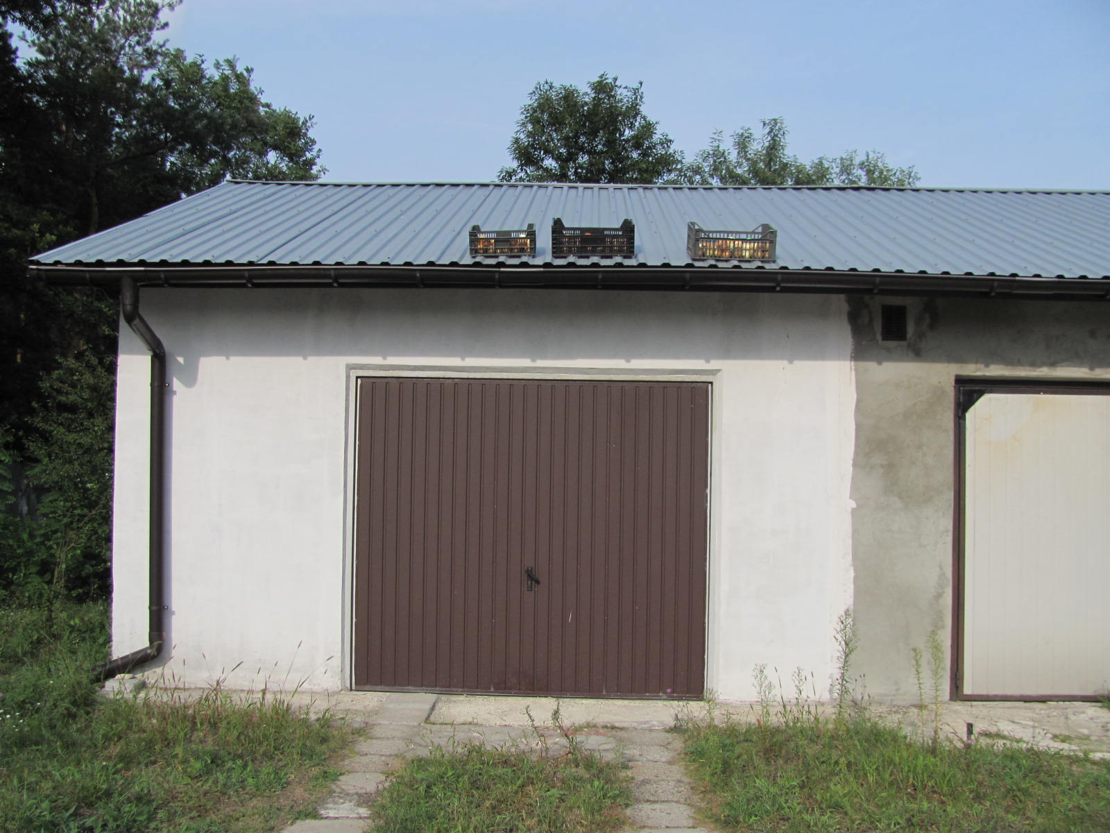 susz1.jpg